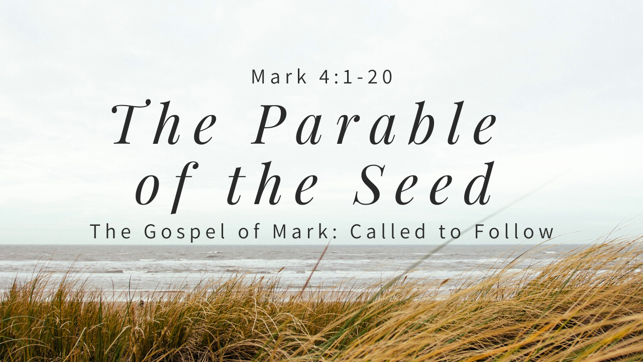 the-parable-of-the-seed-mark-4-1-20-logos-sermons