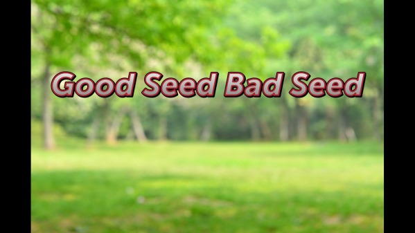 Good Seed Bad Seed