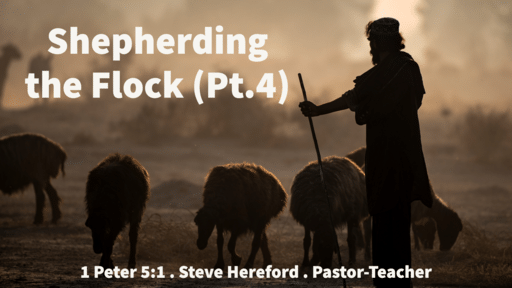 Shepherding the Flock (Pt.4)