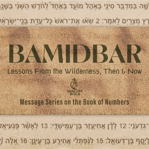 B’midbar: Lesson From the Wilderness, Then & Now 