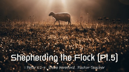 Shepherding the Flock (Pt.5)
