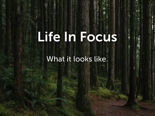Life in Focus