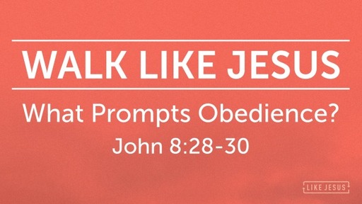 What Prompts Obedience?