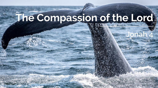 The Compassion of the Lord | Jonah 4 | 31st July 2022 PM