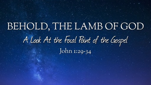 Behold, The Lamb of God - A Look at the Focal Point of the Gospel