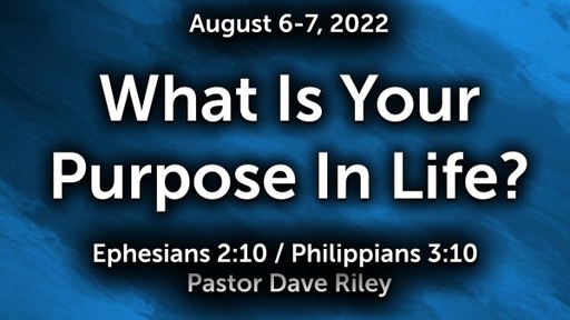 What Is Your Purpose In Life?