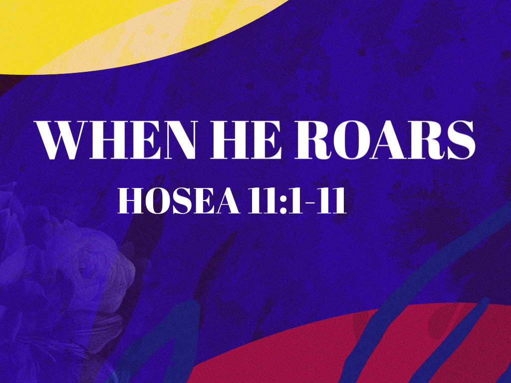 SHE ROARS – Roar Church