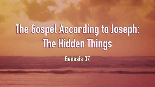 The Gospel According to Joseph: The Hidden Things-  Pastor Mike Meekhoff