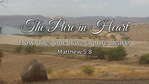 The Pure in Heart