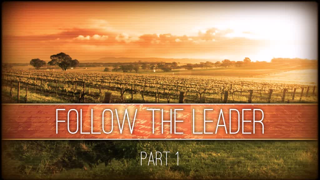 The Joy Of The Gospel Follow The Leader Pt1 Faithlife Sermons