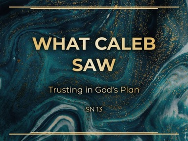 What Caleb Saw