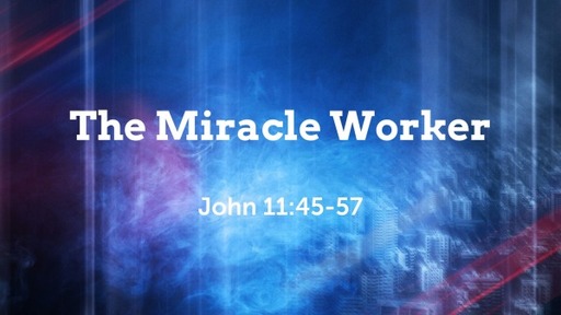 John: The Miracle Worker