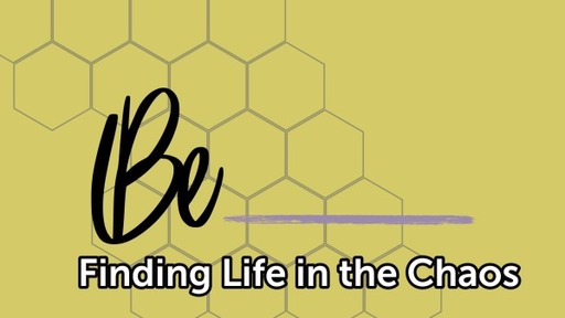 Be - Finding Life in the Choas