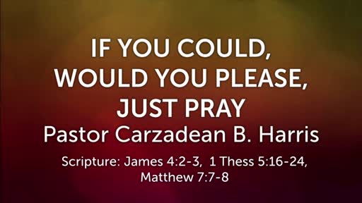 IF YOU COULD, WOULD YOU PLEASE