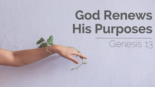 God Renews His Purposes | Genesis 13 | 1st May 2022 PM