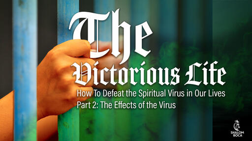 Part 2: The Effects of The Virus