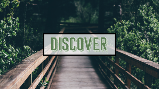 Discover The Path - Road Trip With Paul (Acts 17:10-15 Pt. 15) wk 28
