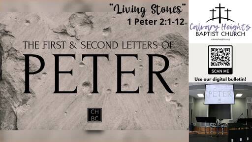 "Living Stones" (1 Peter 2:1-12)