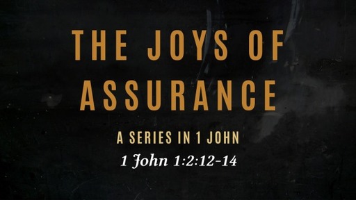 The Joys of Assurance