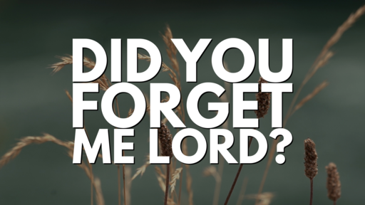 08-21-22 Did You Forget Me Lord?