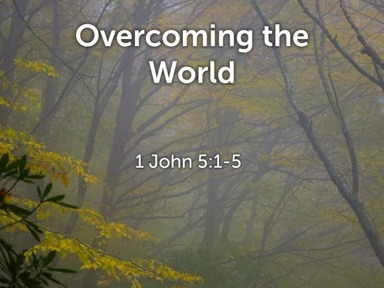 Overcoming the World