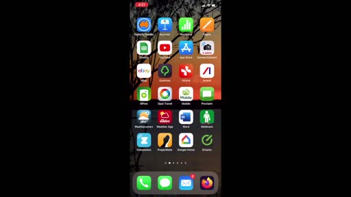 Download Elvanto App