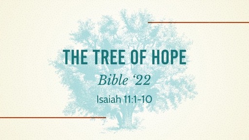 The Tree Of Hope