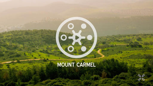 Mt Carmel