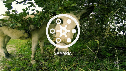 Samaria