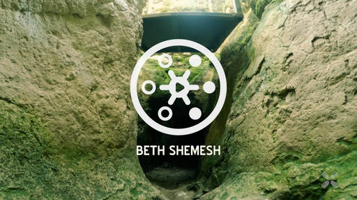 Beth Shemesh