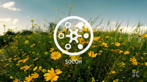 Socoh
