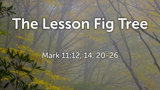 Service - September 25, 2022 The Lesson Fig Tree