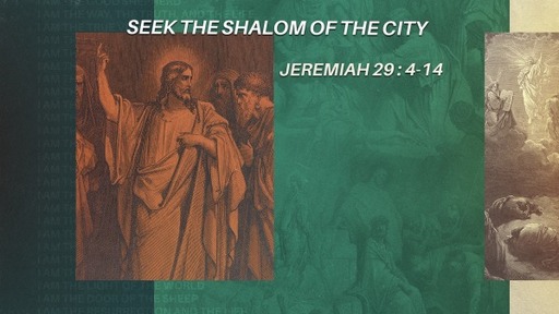 Seek the Shalom of the city