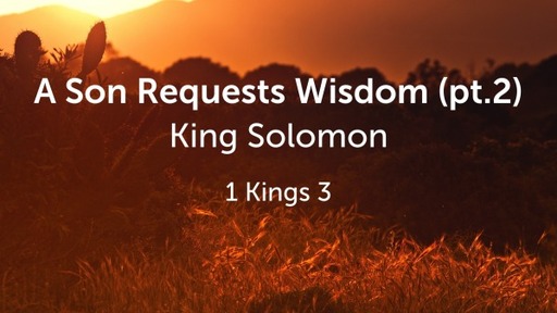 A Son Requests Wisdom (pt.2)