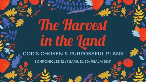 The Harvest in the Land - God's Chosen & Purposeful Plans
