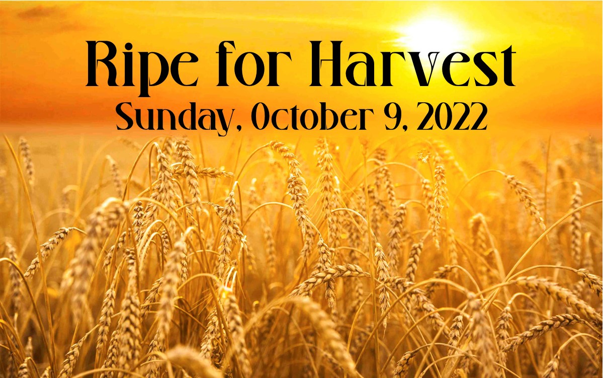 Ripe for Harvest - Logos Sermons