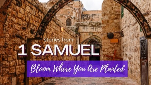 Stories from 1 Samuel