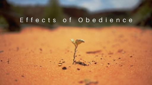 Effects of Obedience