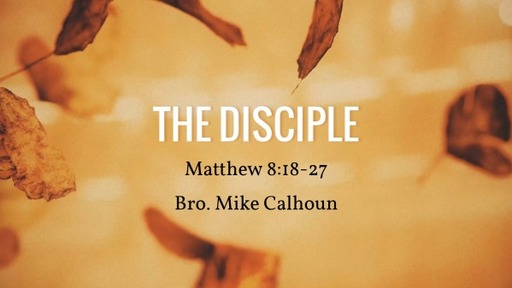 The Disciple - Matthew 8:18-27