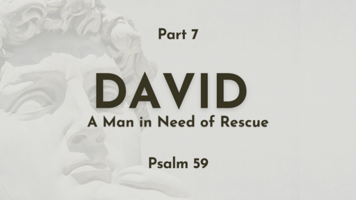 Part 7 - David: A Man in Need of Rescue