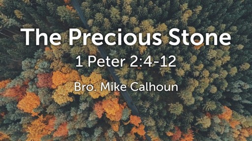 The Precious Stone - 1 Peter 2:4-12