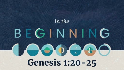 In the Beginning (Genesis 1:20-25)