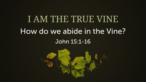 I AM the True Vine