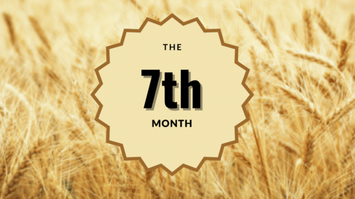 The 7th Month