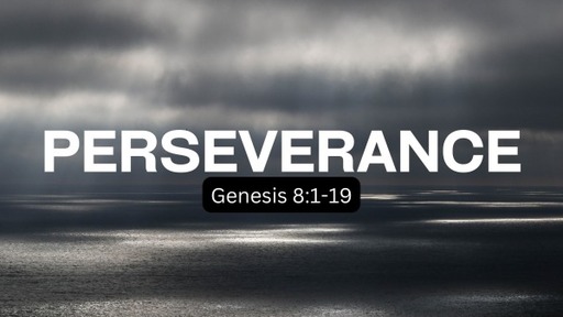 November 20, 2022 - Perseverance (Genesis 8:1-19)