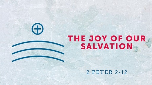 Joy in Salvation