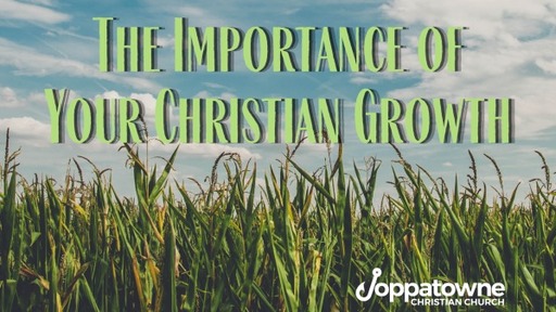 The Importance of your Christian Growth