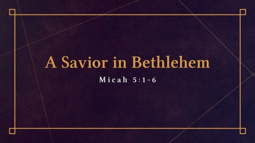 A Savior in Bethlehem