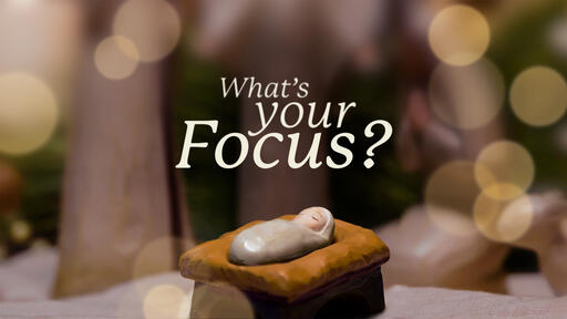 What's Your Focus? A Christmas Series. 