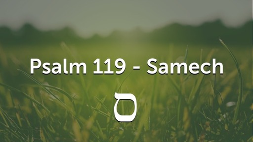 Psalm 119 - Samech